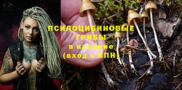 мяу мяу мука Балахна