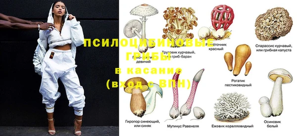 стафф Балабаново