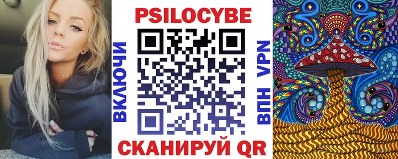 Галлюциногенные грибы Psilocybe Новоржев