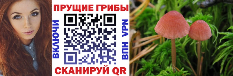 Галлюциногенные грибы ЛСД  купить  цена  Новоржев 