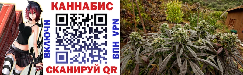 mega   наркошоп  Новоржев  Марихуана Amnesia 